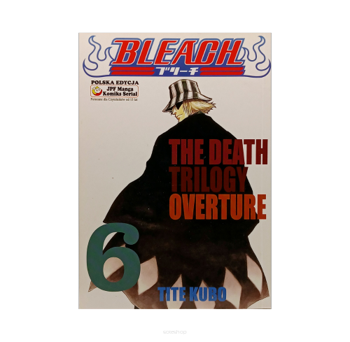 Bleach, tom 6
