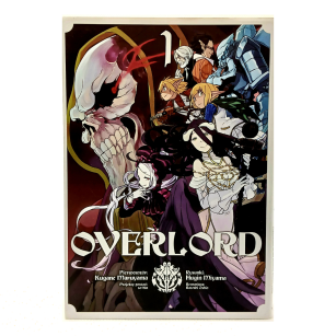 Overlord, tom 1