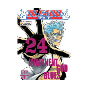 Bleach, tom 24