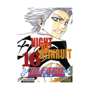 Bleach, tom 16