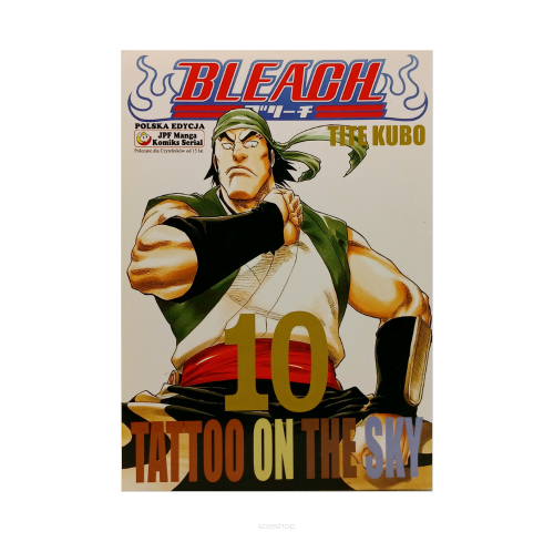 Bleach, tom 10